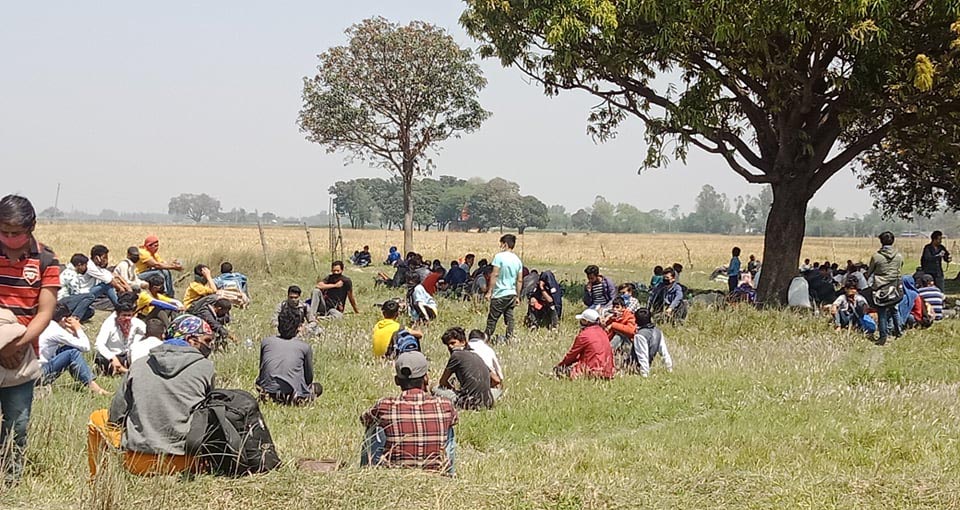 क्वारेन्टाइनमा २ सय १२, खेतमा १ सय ५८